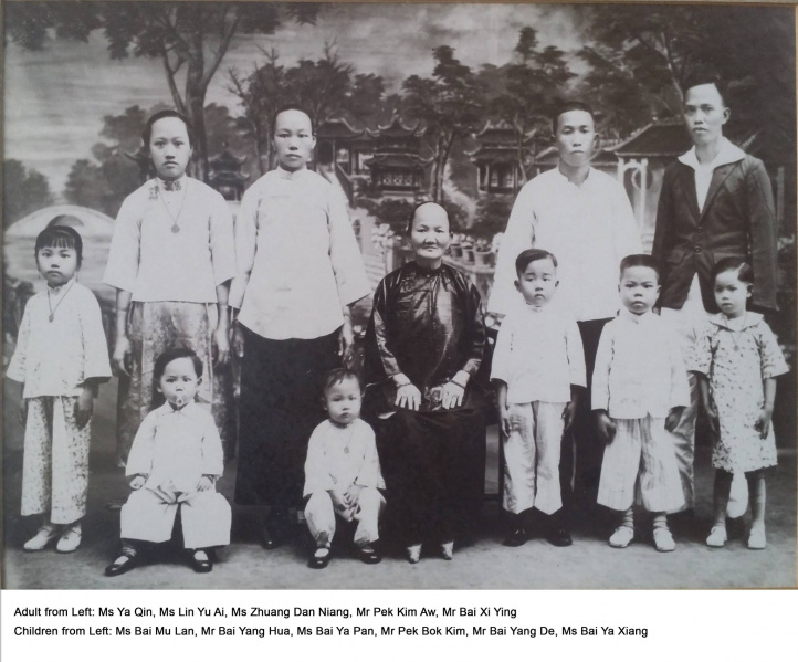 File:Pek Kim Aw family portrait.jpg