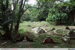 Bukit Brown Tombs.jpg