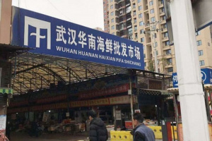 Huanan Seafood Market.jpg