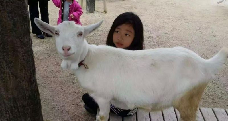 File:Yan Yi Fan child.jpg