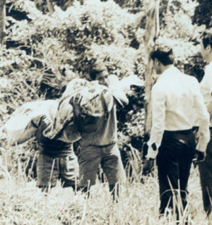 Police retrieving Winnifred Teo’s body in 1985.