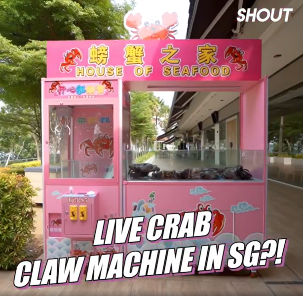 File:House of Seafood’s live crab claw machine. Screenshot from Facebook video..png